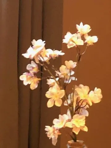 Ou Dans Maison Avec Piscine منزل للإقامة