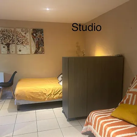 Ou Dans Maison Avec Piscine Toulouse