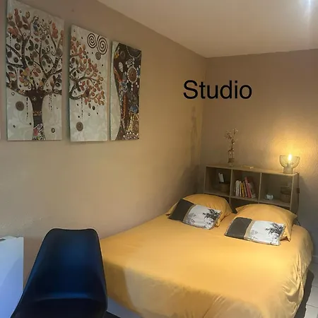 Ou Dans Maison Avec Piscine Toulouse