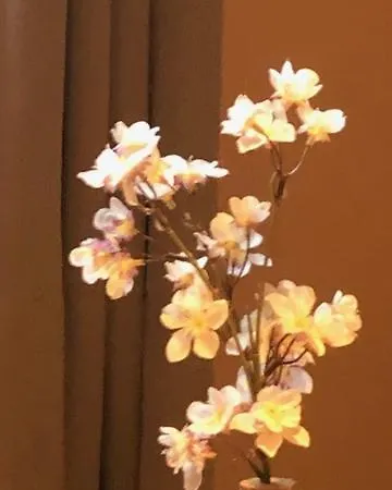 Ou Dans Maison Avec Piscine Privatunterkunft